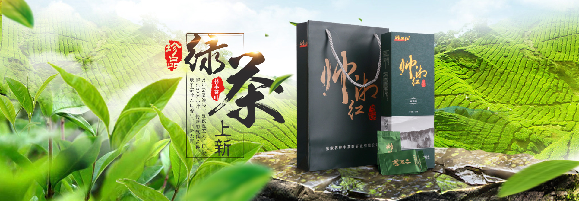 張家界林豐茶葉開發有限公司_張家界茶葉開發|茶葉種植|桑植白茶加工|帥湘紅銷售