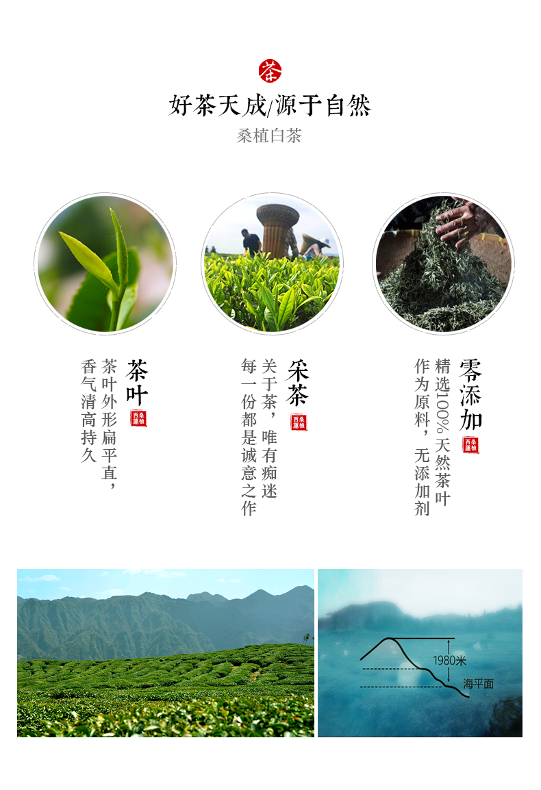 張家界林豐茶葉開發有限公司,張家界茶葉開發,茶葉種植,桑植白茶加工,帥湘紅銷售